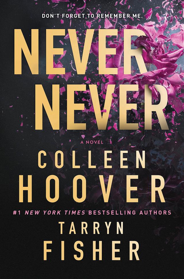 Never Never: A twisty and devastating romantic mystery