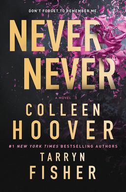 Never Never: A twisty and devastating romantic mystery